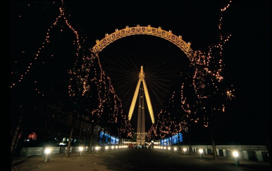 London: Christmas Lights Nighttime Bus Tour with Live Guide - Who will enjoy this most