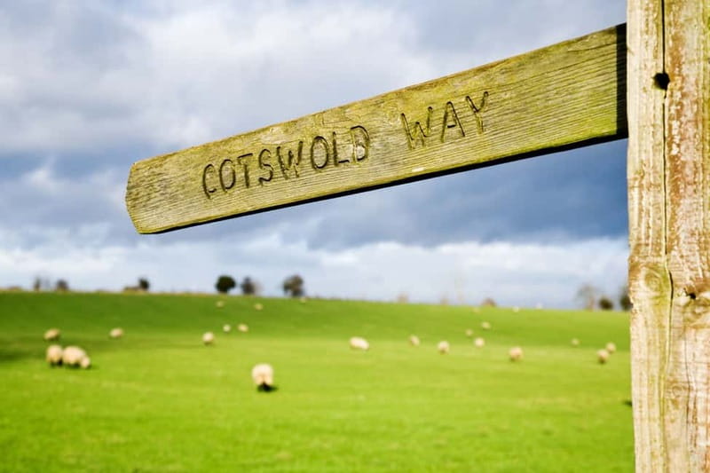 London: Cream Tea at Blenheim Palace & the Cotswolds Tour - Cream tea at the palace