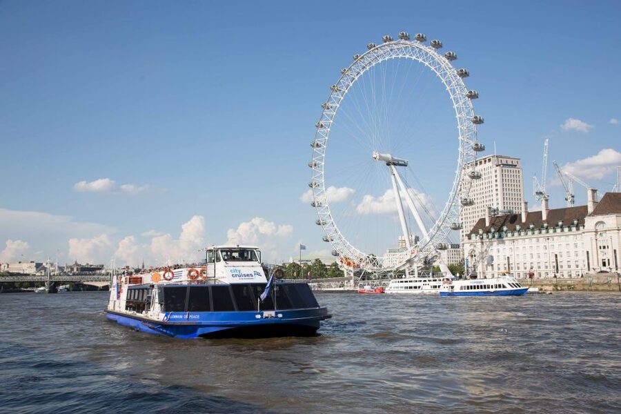 London: Crown Jewels Tour with River Cruise - Who Should Book This London Tour?