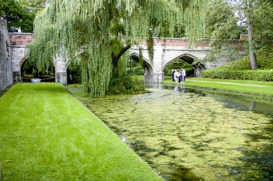 London: Entry Ticket to Eltham Palace and Gardens - Key points to know before you go