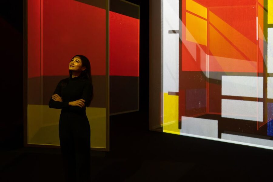London: Entry Ticket to Frameless Immersive Art Experience - The photo factor: great color, imperfect timing