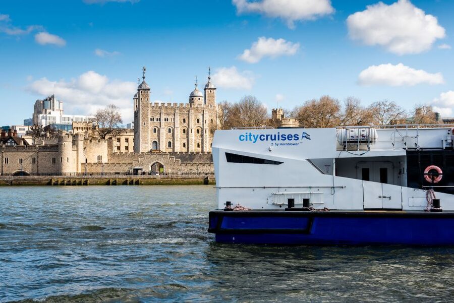 London: Harry Potter Walk, Hop-on Hop-off Bus Tour & Cruise - Key details before you book