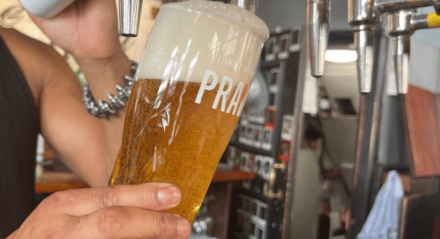 London: Historic London Pub Walking Tour - The guide makes or breaks the walk