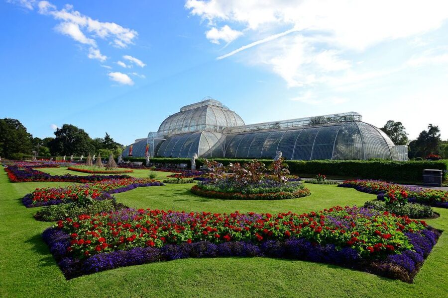 London: Kew Gardens Admission Ticket - The Hive, where architecture follows the bees