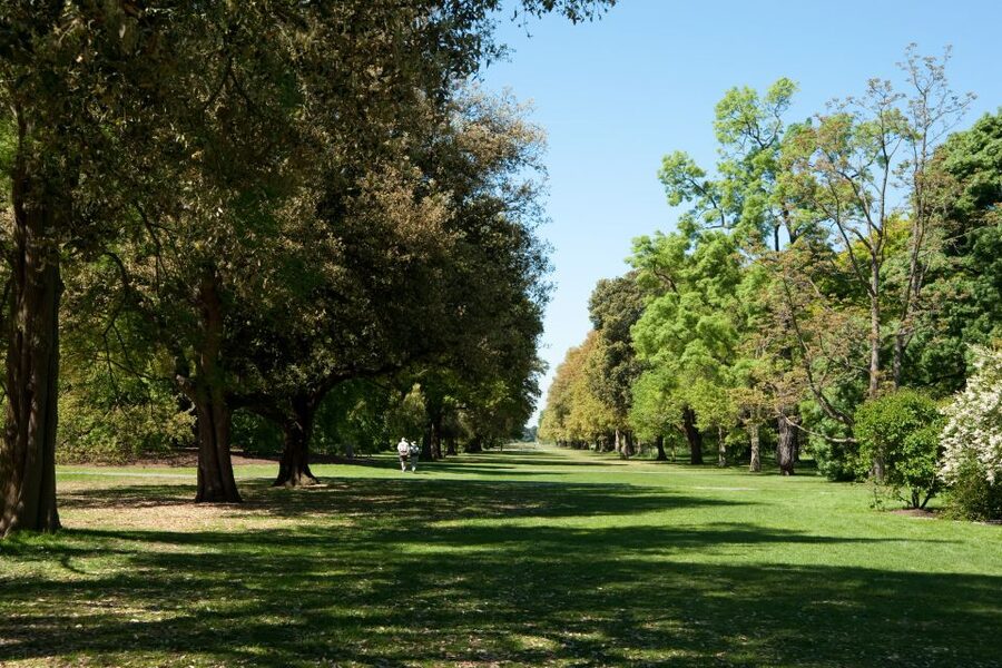 London: Kew Gardens Admission Ticket - The Arboretum and the outdoor gardens