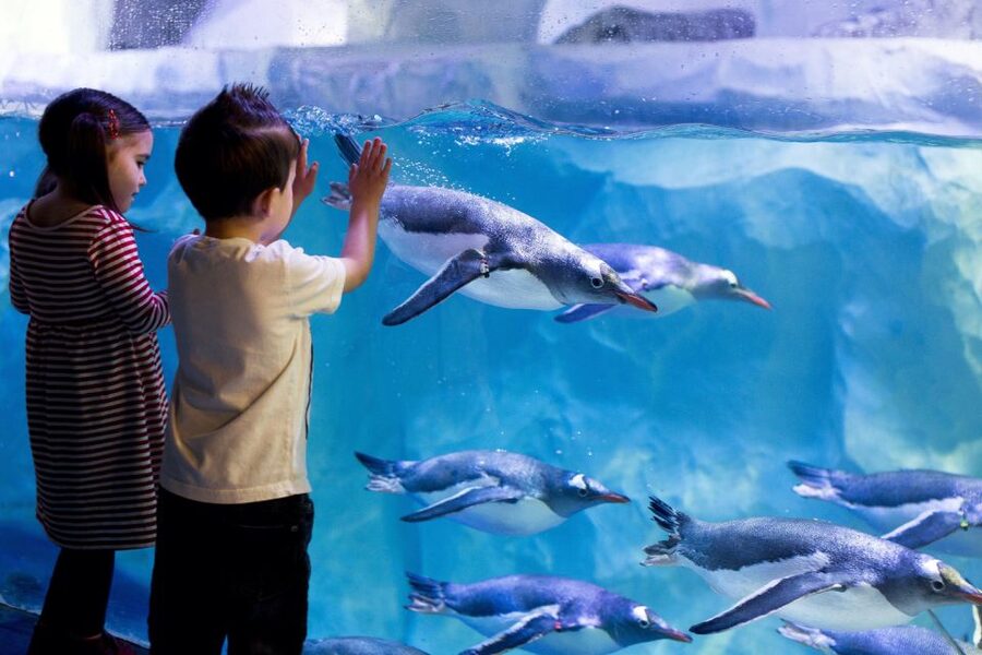 London: Madame Tussauds, London Eye & SEA LIFE Combo Ticket - Planning the three visits over 90 days