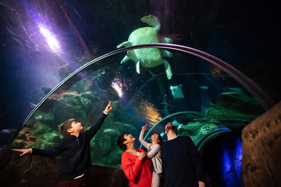 London: Madame Tussauds, London Eye & SEA LIFE Combo Ticket - Madame Tussauds, from the red carpet to Marvel