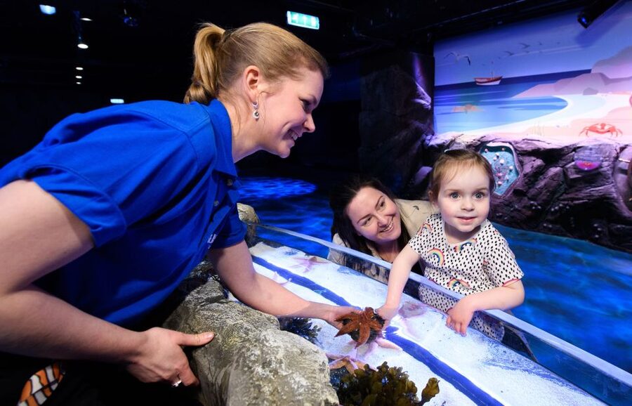 London: Madame Tussauds, SEA LIFE and London Dungeon Entry - How the 90-day ticket actually works