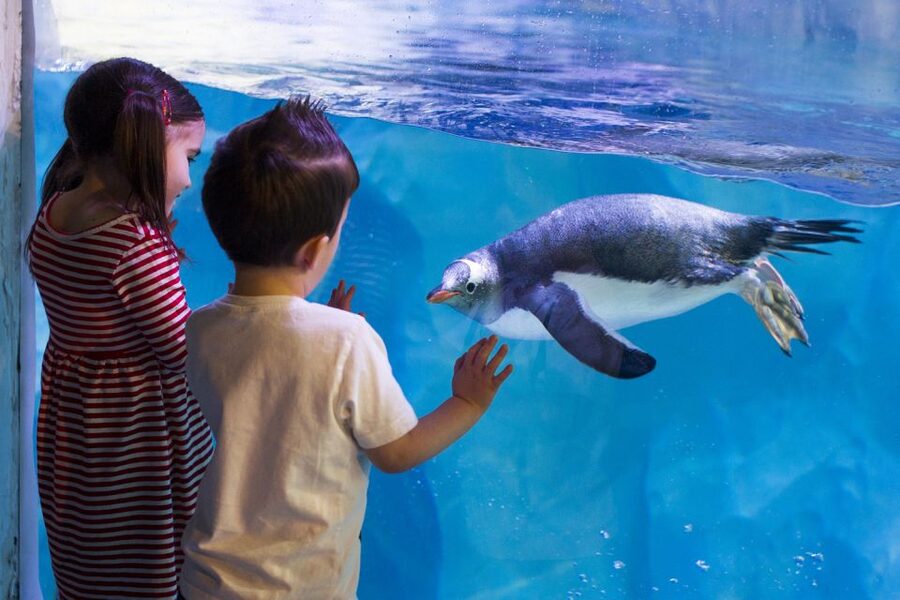 London: Madame Tussauds, SEA LIFE and London Dungeon Entry - SEA LIFE London: 14 zones across three floors