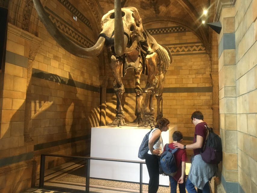 London: Natural History Museum Entry Ticket and Guided Tour - Why a one-hour introduction works at the Natural History Museum