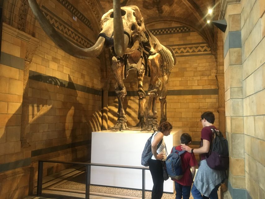 London: Natural History Museum Entry Ticket and Guided Tour - Meeting at Exhibition Road