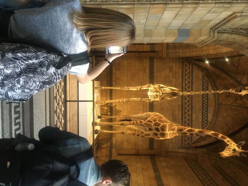 London: Natural History Museum Entry Ticket and Guided Tour - The Diplodocus and the dinosaur displays