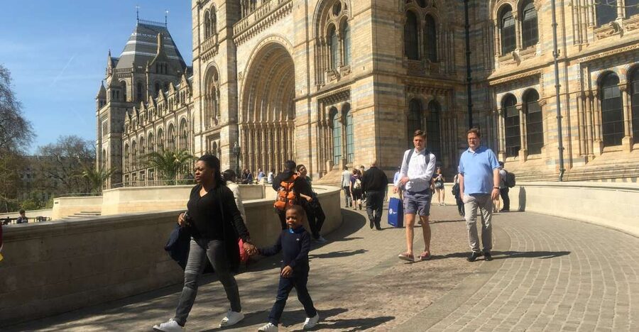 London: Natural History Museum Entry Ticket and Guided Tour - Volcanoes, earthquakes, and the story of Earth