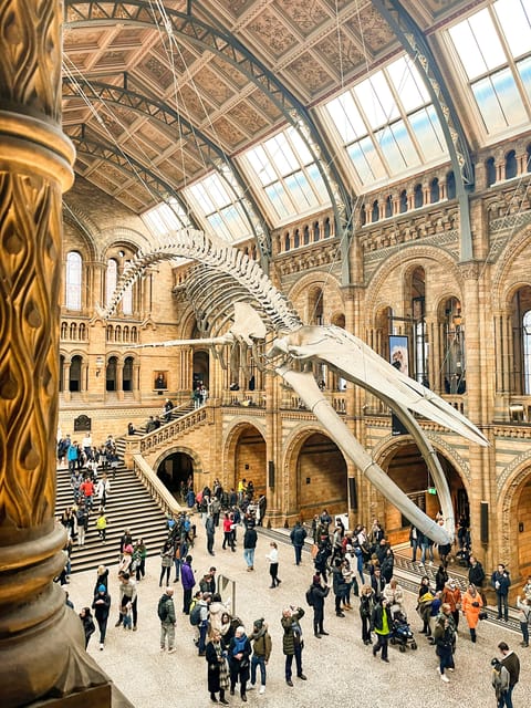 London: Natural History Museum Guided Tour - Key points at a glance