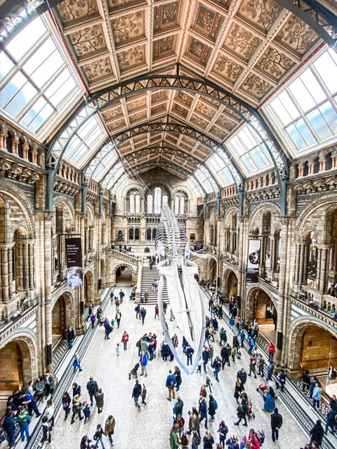 London: Natural History Museum Guided Tour - Why this museum needs a guide