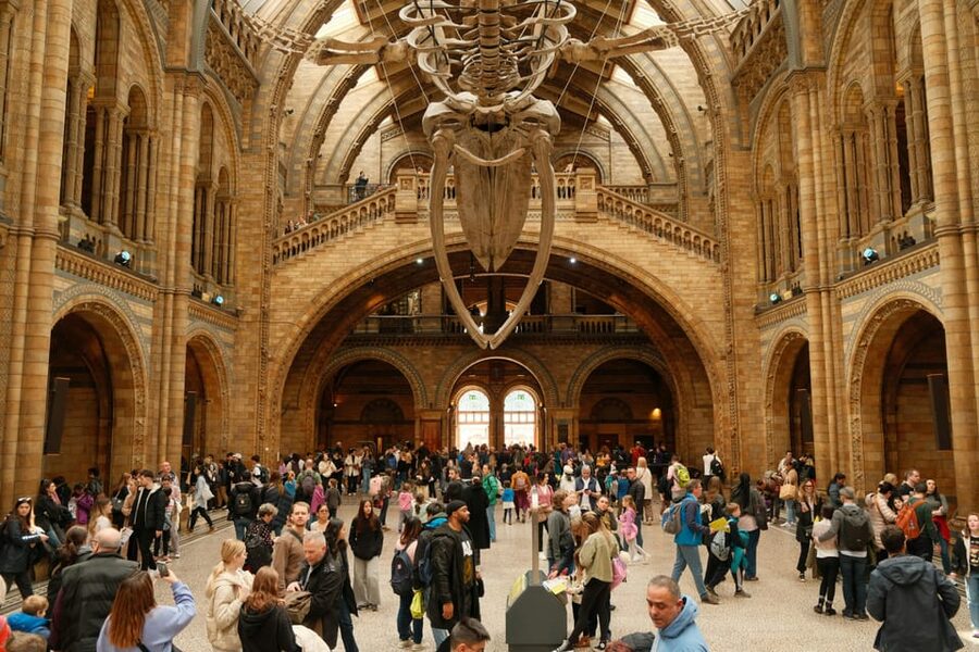 London: Natural History Museum Guided Tour - Archaeopteryx and the evidence for evolution