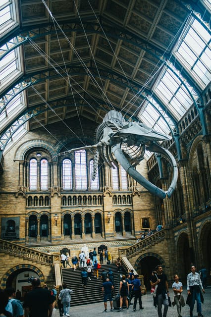 London: Natural History Museum Guided Tour - Dinosaurs, teeth, and Sophie the Stegosaurus