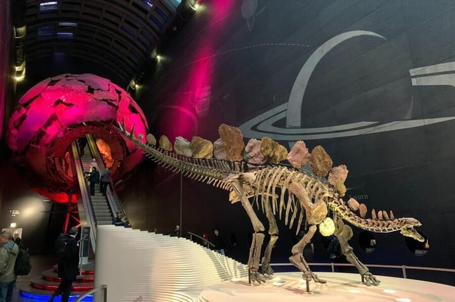 London: Natural History Museum Private Tour & Skip the line - Key points at a glance