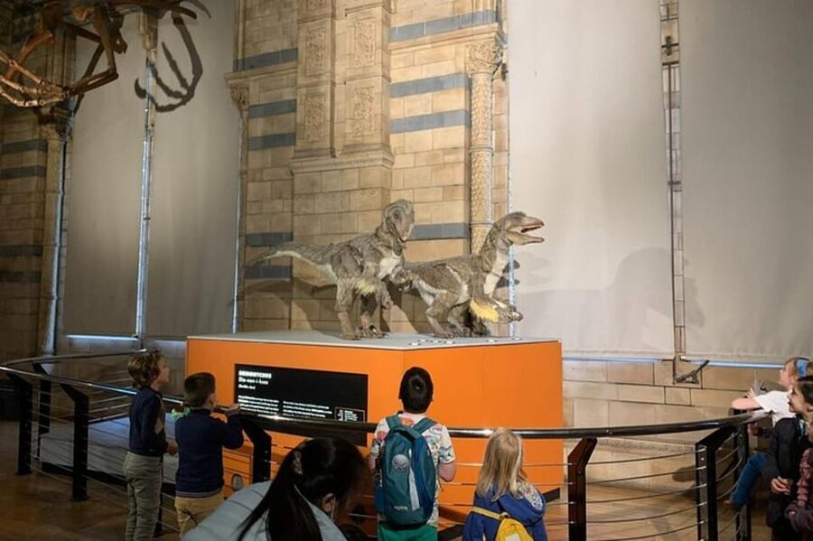 London: Natural History Museum Private Tour & Skip the line - Earthquakes, volcanoes, and hands-on science