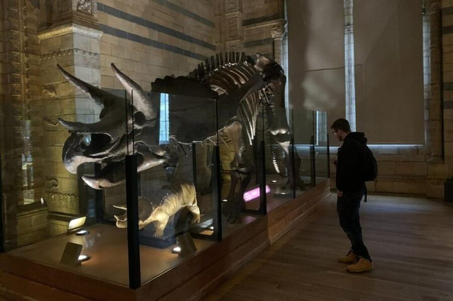 London: Natural History Museum Private Tour & Skip the line - Meeting your guide at South Kensington