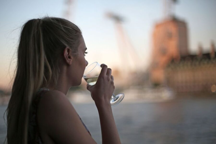 London: River Thames Evening Cruise with Bubbly and Canapés - Canapés and the included glass of bubbly