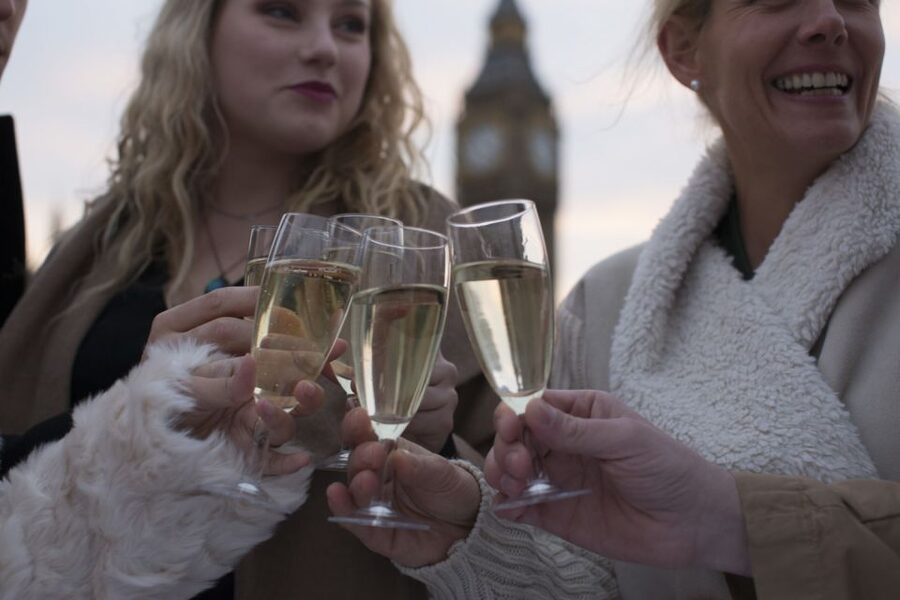 London: River Thames Evening Cruise with Bubbly and Canapés - What the cruise does, and what it does not do