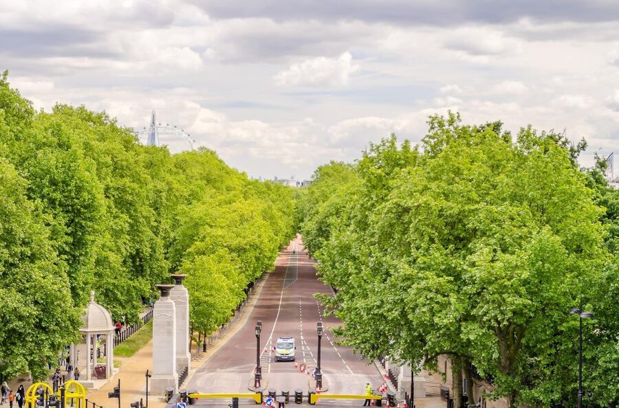 London Royal Tour - Buckingham Palace Entry - 12 guests 2,5h - What the $186 price really buys