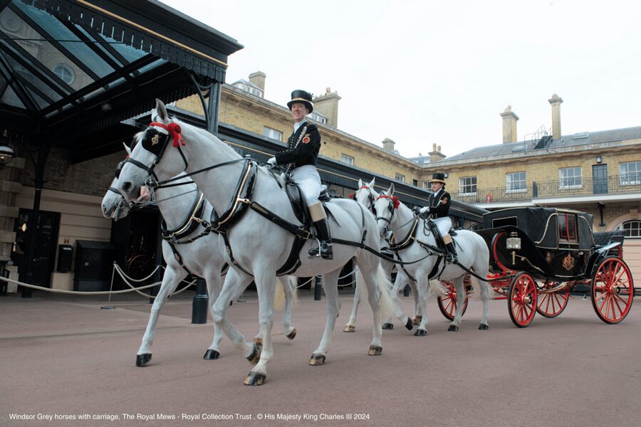 London: Royal Walking Tour with Guard Change & Royal Mews - Seeing the Changing of the Guard