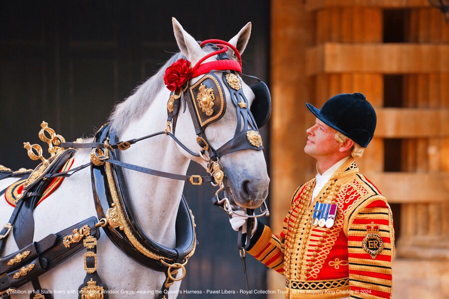 London: Royal Walking Tour with Guard Change & Royal Mews - How the guides shape the experience