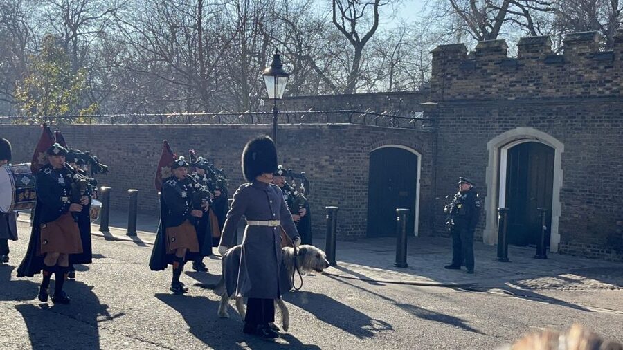 London’s Royal Family and Changing of the Guard Tour - St. James’s Palace and the royal family tree