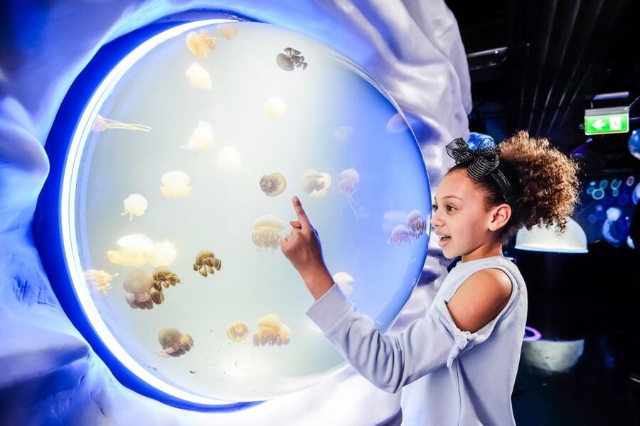 London: SEA LIFE Entry Ticket - SEA LIFE London puts an aquarium in the middle of the city
