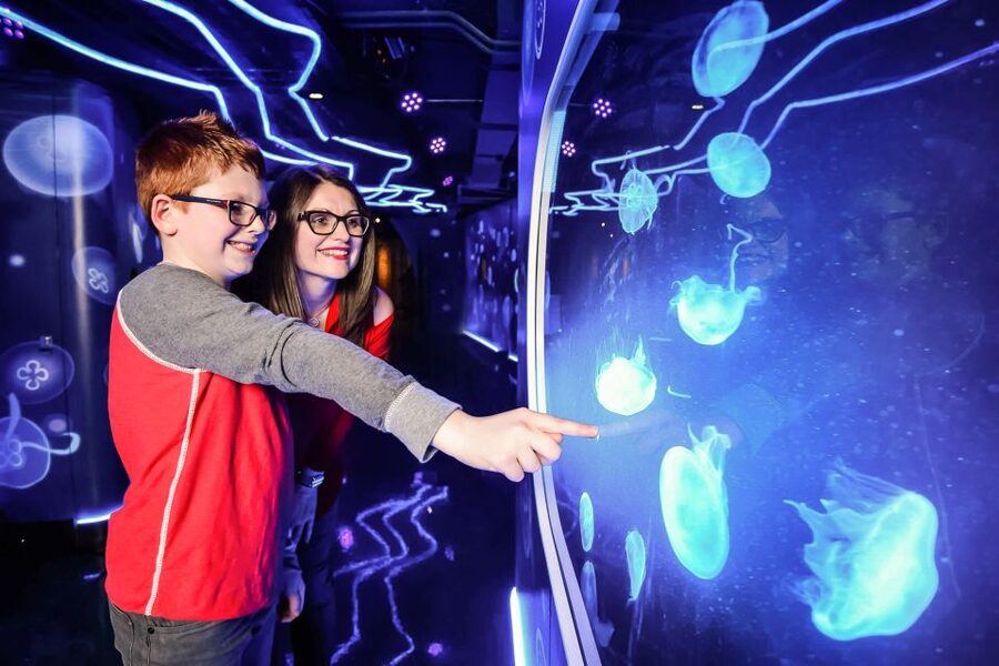 London: SEA LIFE Entry Ticket - Is $37 a fair price?