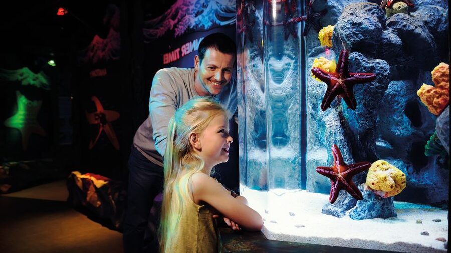 London: SEA LIFE & London Eye Combo Ticket - Families, children, and access