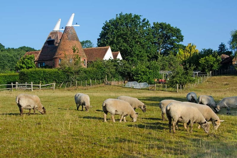 London: Small Group Canterbury, Dover & Kent Villages Tour - Canterbury: a guided start, then your own choices