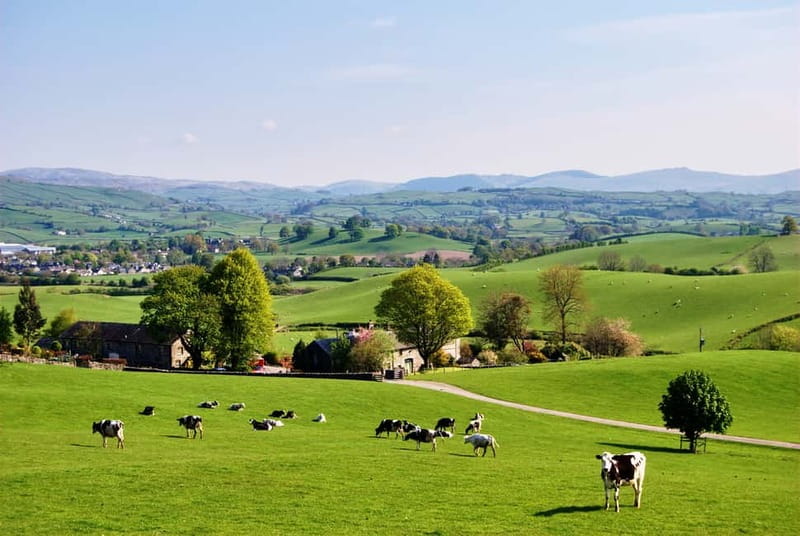 London: Small Group Canterbury, Dover & Kent Villages Tour - The guide makes the long day work
