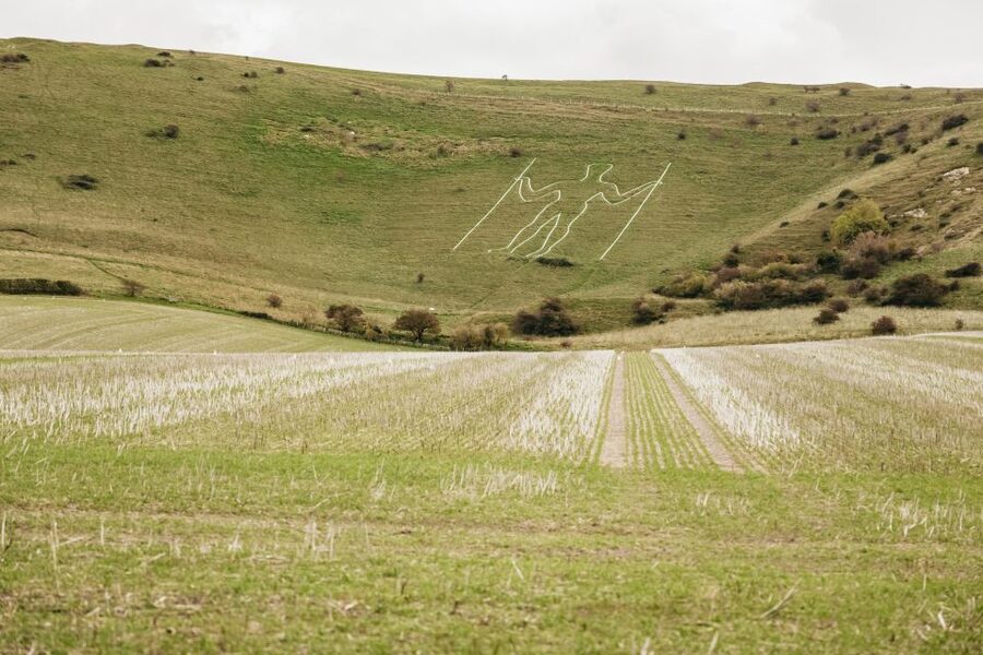 London: South Downs White Cliffs Day Trip with Train Tickets - Key points to know before booking
