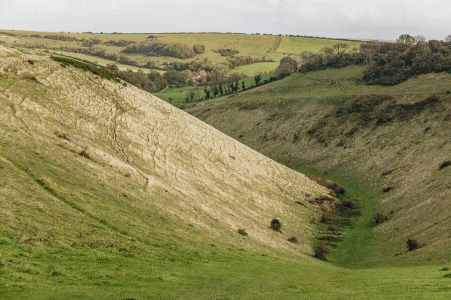 London: South Downs White Cliffs Day Trip with Train Tickets - Why this South Downs day trip works from London