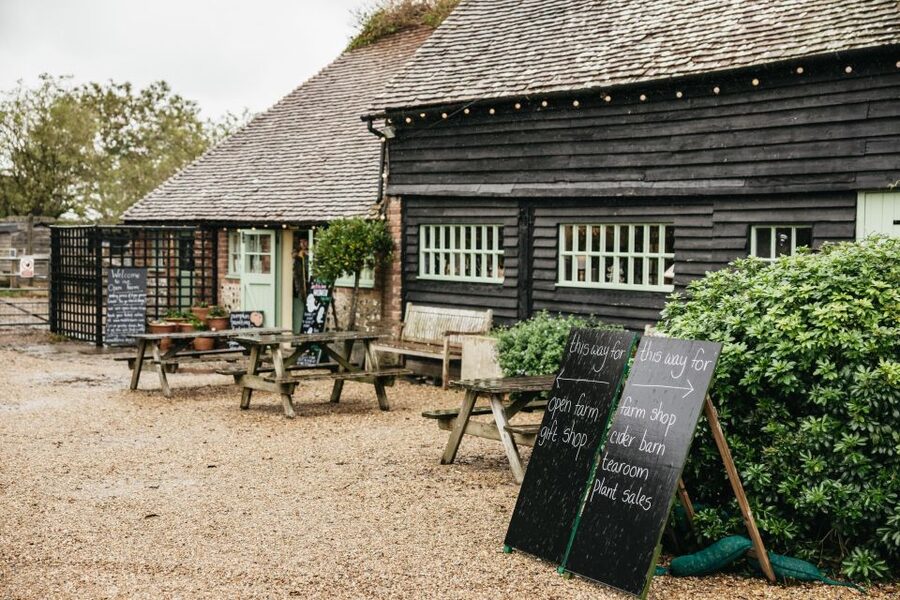 London: South Downs White Cliffs Day Trip with Train Tickets - Is $120 good value?