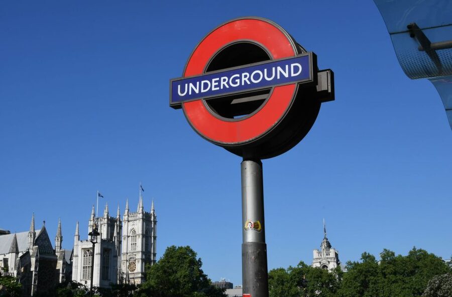 London: Thames River Cruise and 3-Hour Westminster Tour - Key points to know before booking