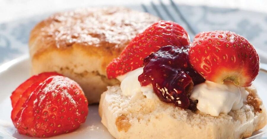 London Vintage Bus Tour and Cream Tea at Harrods - Who will get the most from this tour?