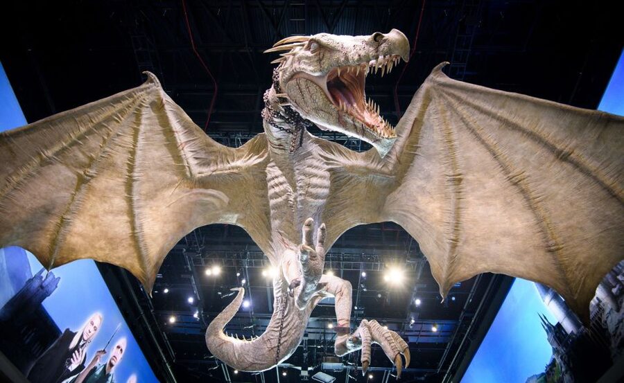 London: Warner Bros. Studio Tour with Return Transportation - Should you book the Warner Bros. Studio Tour coach package?