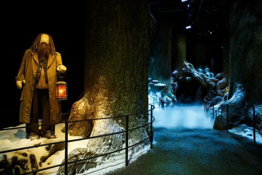 London: Warner Bros. Studio Tour with Return Transportation - Admission and the first look inside