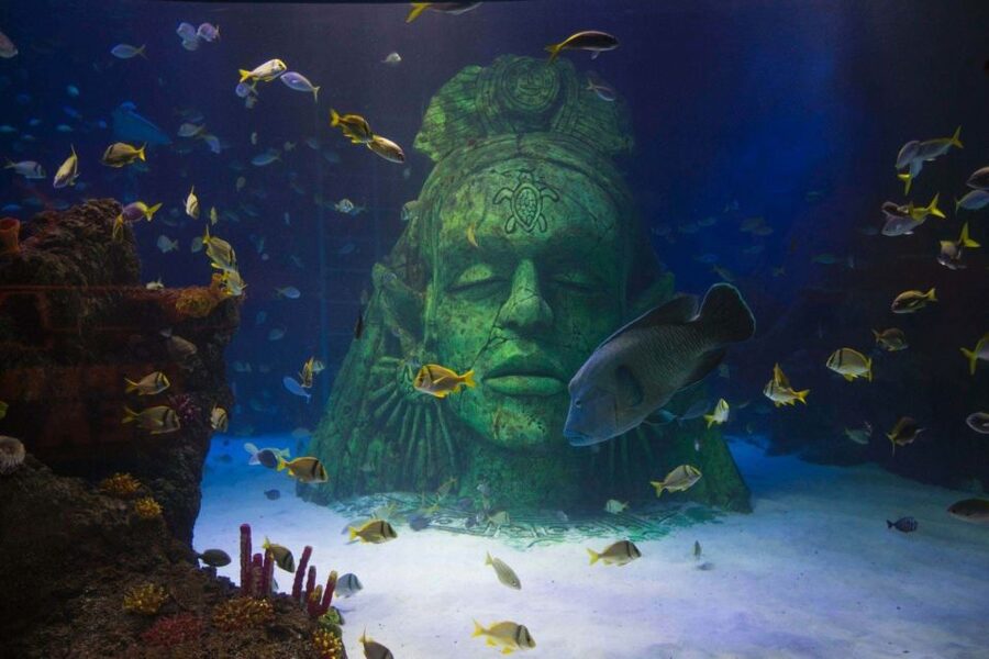 Manchester: SEA LIFE Entrance Ticket - How Long the Visit Really Takes
