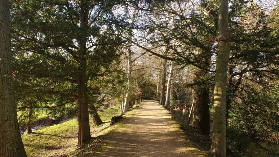 Oxford: C.S. Lewis & J.R.R. Tolkien Guided Walking Tour - Key points at a glance