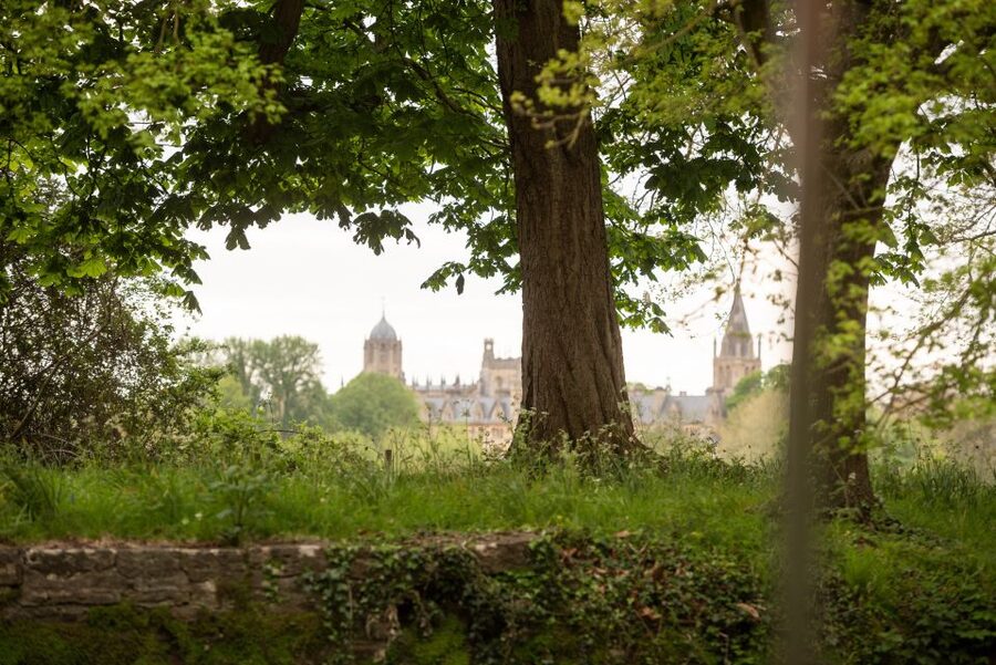 Oxford: Evening Sightseeing River Cruise with a Cocktail - The guide makes the small boat matter