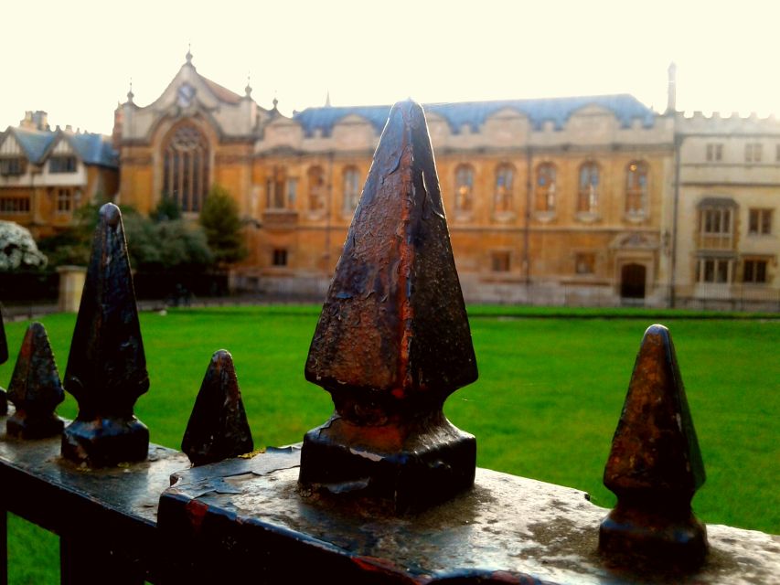 Oxford: Harry Potter Insights Divinity School Group Tour - A Harry Potter tour that is also an Oxford introduction