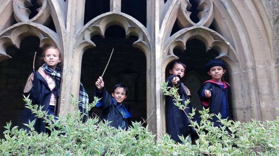 Oxford: Harry Potter Insights Divinity School Group Tour - Potter quizzes, costumes, and family appeal