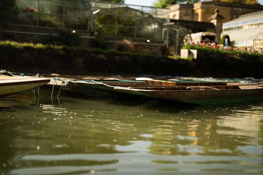 Oxford: Punting Tour on the River Cherwell - A quiet Oxford ride from Magdalen Bridge