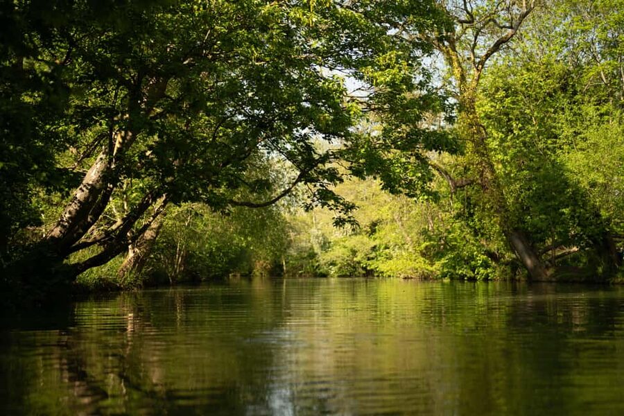 Oxford: Punting Tour on the River Cherwell - What the student guide adds