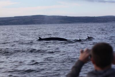 Land’s End Boat Tour with Wildlife Guides